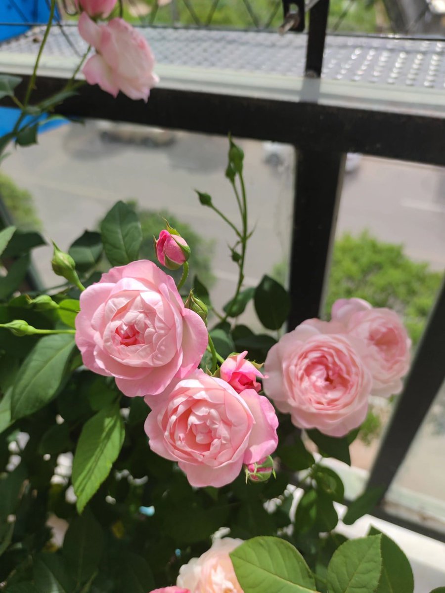 datemadd's tweet image. 