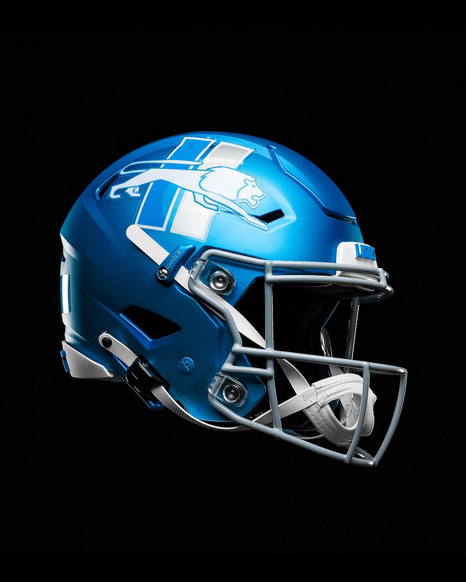 Lions's tweet photo. Black and Blue Division https://t.co/CewYhg5faT