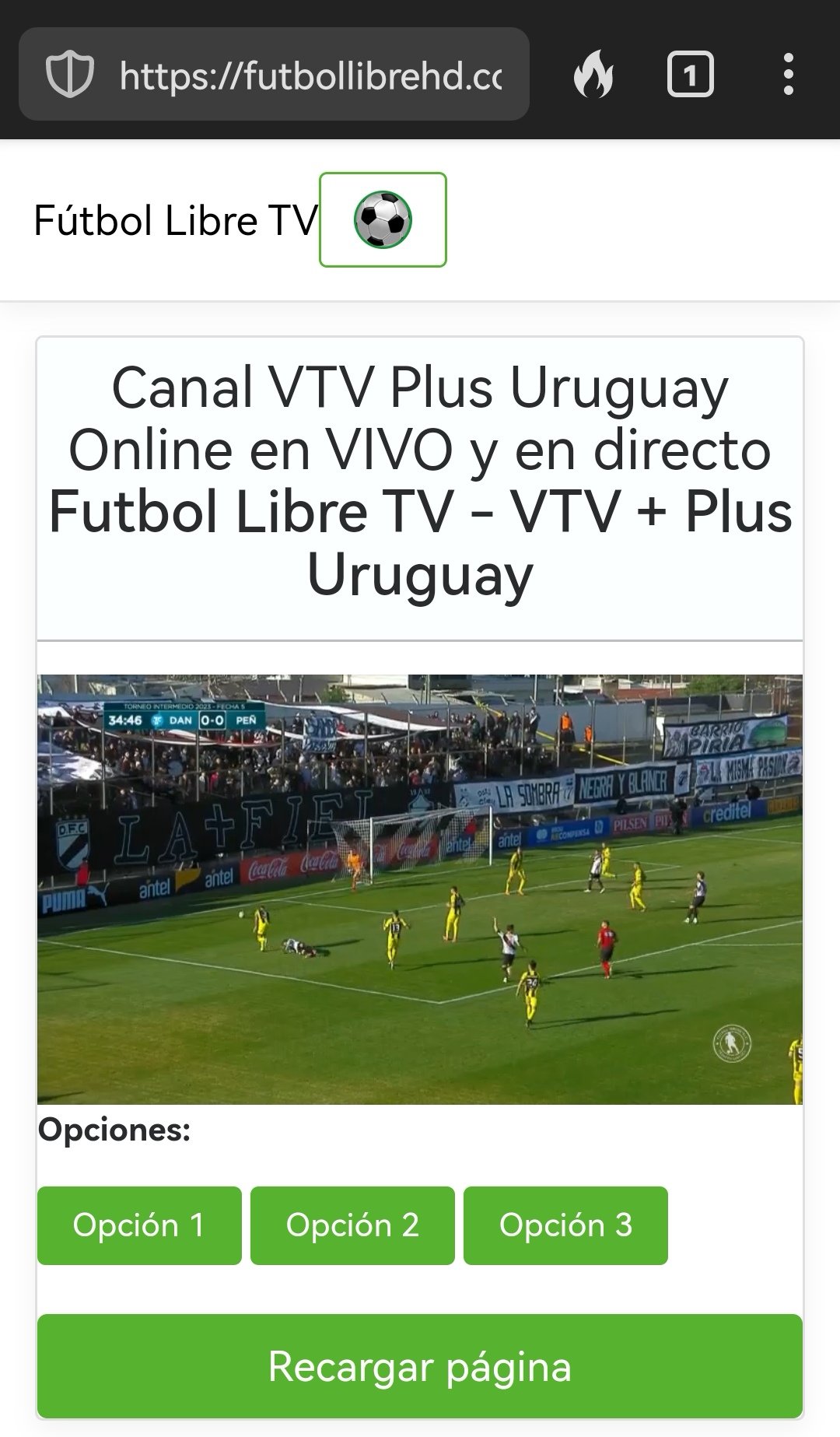 Ver VTV Plus En Vivo Gratis - Fútbol Libre TV