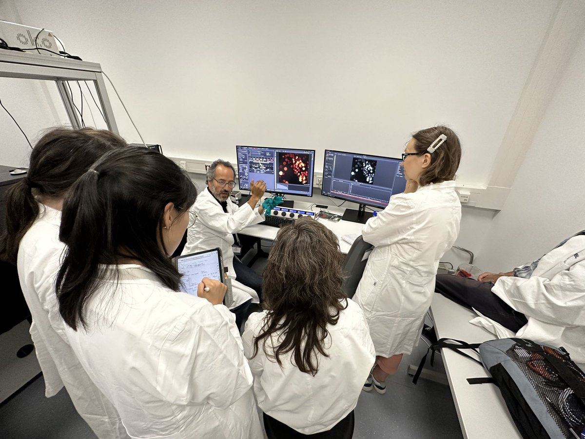 mgpisfil's tweet photo. Practical sessions start! Imaging some fluorescent colonies. 
@EMBLHeidelberg 
@EMBLEvents 
#EMBLFluorescenceLifetime https://t.co/wTocXOCBcV
