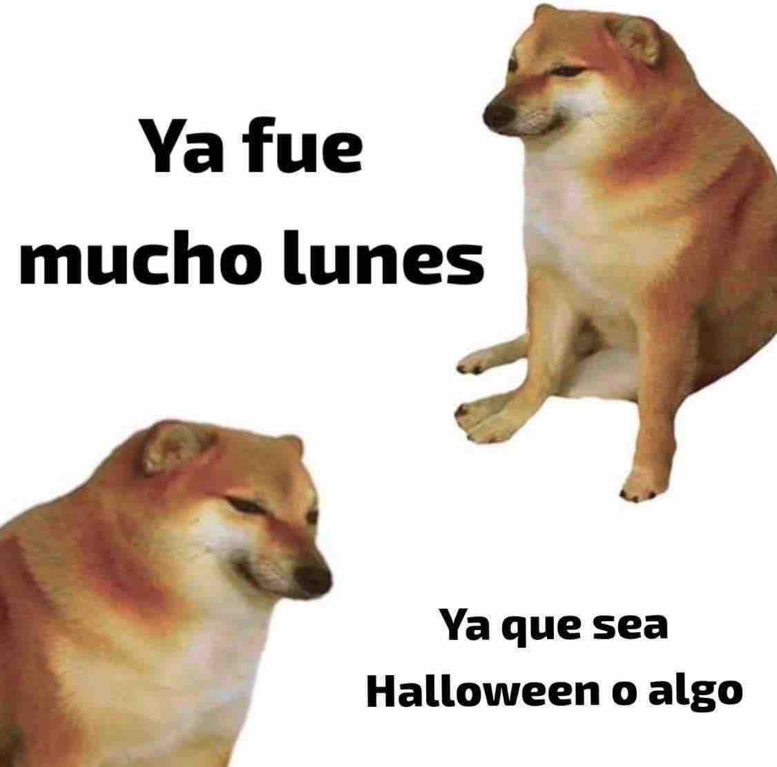 Guarromantico_'s tweet photo. https://t.co/2ZkXedEL7n