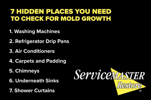 SMCbyTAR's tweet photo. 7 secret spots where mold thrives undetected.
#ServiceMaster #Water #Fire #Mold #Construction #Packout #Boardup #Trauma #Restoration #Mitigation #Removal #LosAngeles #LakeHavasu #Albuquerque #EmergencyRestoration #Cleaning https://t.co/HYmDJ3Trcu