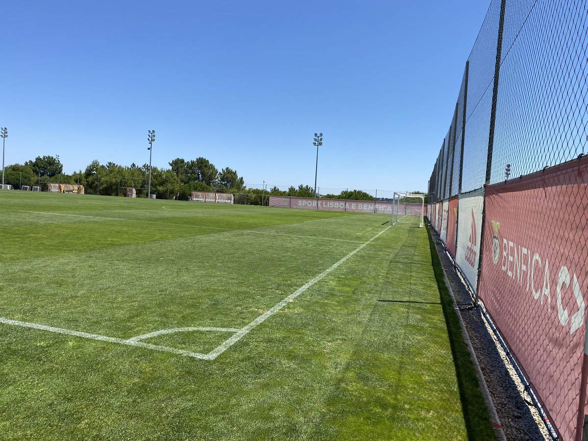 LSMPEDEPT's tweet photo. Lisbon Sports Tour Inspection Visit- Day 3: a trip to see the netball &amp; football facilities that the pupils will use next April. Finished off with a stadium tour of Benfica’s ground. The pupils will love the hotel &amp; sports facilities next year. A very reassuring trip. https://t.co/nhhH07HbNw