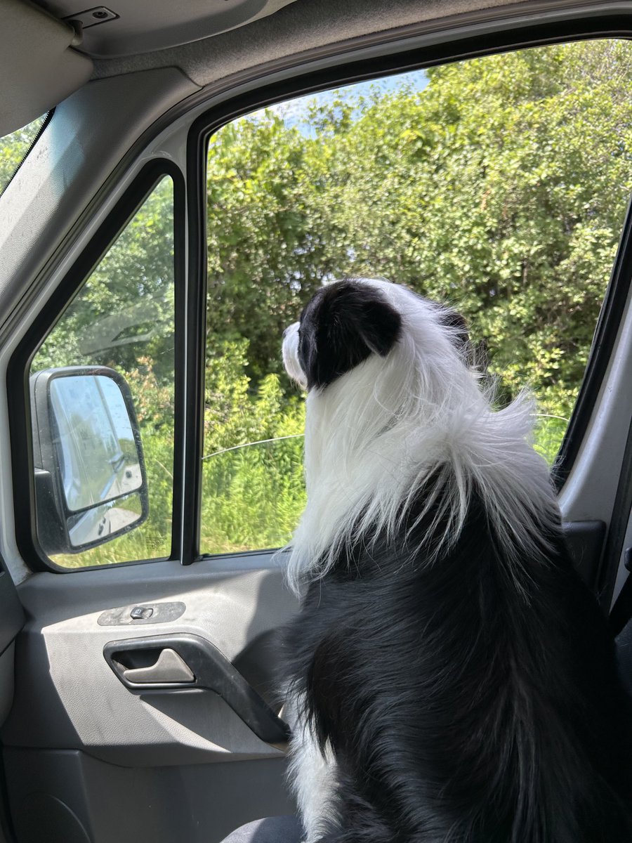 Tim Colin AllTurf tweet media