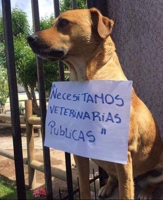 itimaliasof's tweet photo. https://t.co/OBw7tpBLDy