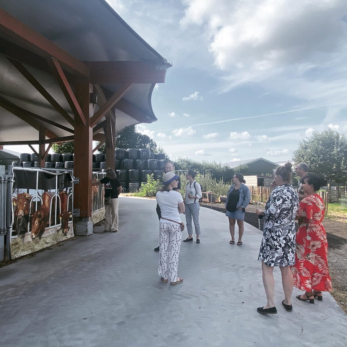 Rdamdeboerop's tweet photo. Wat hadden wij een mooie terugkomdag van de cursus MarCom die we samen met @voedselfamilies organiseerden voor natuurinclusieve boeren! Naast marketinglessen ook veel persoonlijke inzichten &amp; groei. Zo waardevol! https://t.co/Gs9mrq99CU