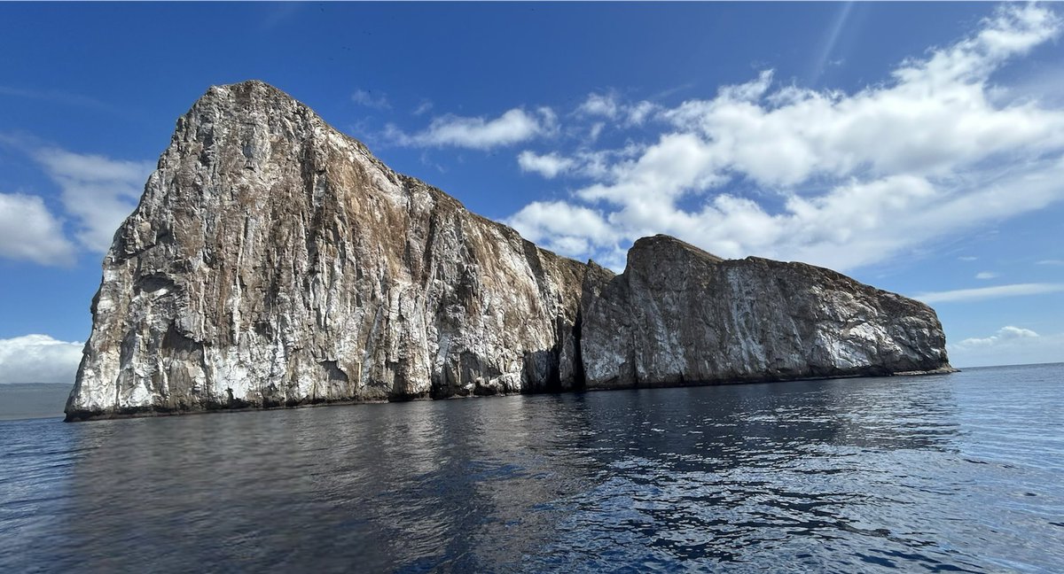 #MondayMotivation 
#GalapagosIslands  Sur terre, en mer, on en prend plein les yeux. C’est juste merveilleux 🤩
#EcuadorJAdore #Ecuador #Paradise