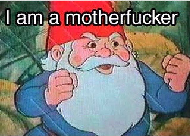joeborder's tweet photo. @GoodwillNuN Find inspiration in the gnome https://t.co/t4lMLnZhXc