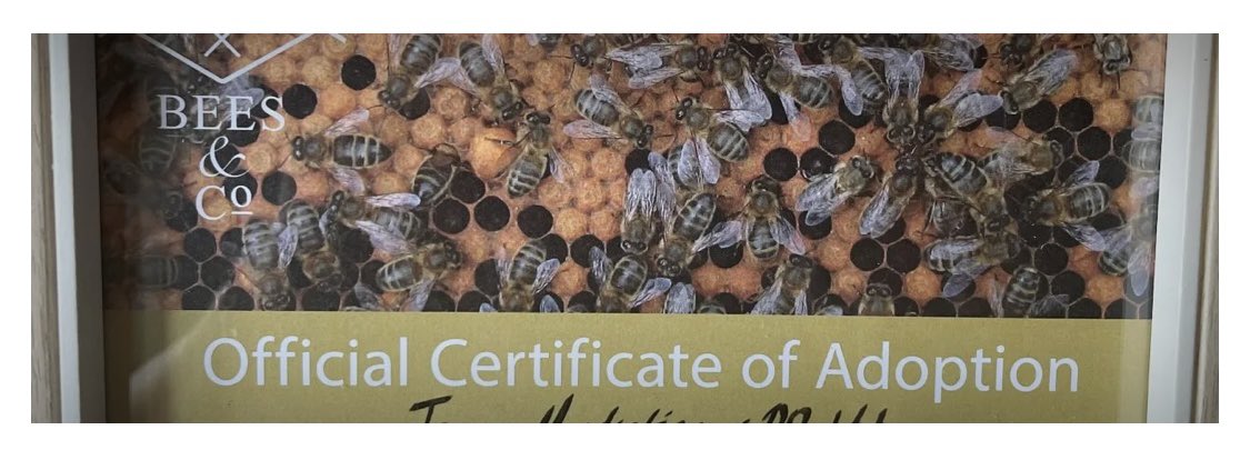 Jooce Marketing tweet media