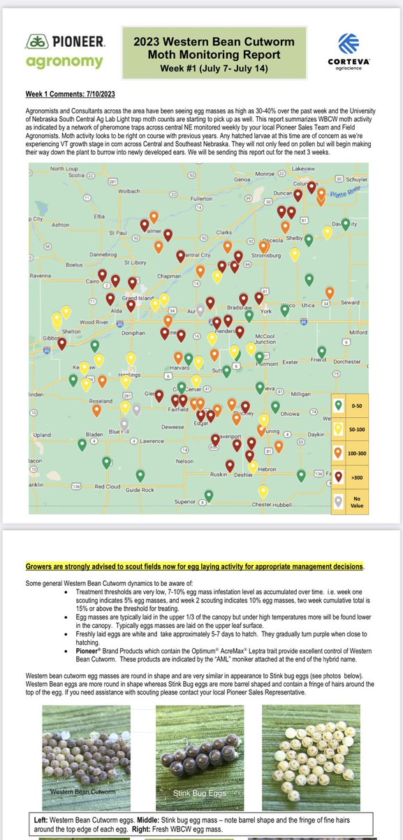 Calvin Rupe (@rupecalvin) on Twitter photo Time to be monitoring for Western Bean Cutworms. Here is a snap shot of the Central Nebraska Pioneer Agronomy moth trap network.<a href="/PioneerSeeds/">Pioneer Seeds U.S.</a> <a href="/micksterbrau/">John Mick</a> <a href="/BobWrightUNL/">Robert Wright</a> <a href="/PetersonInsects/">Julie Peterson</a> Time to be monitoring for Western Bean Cutworms. Here is a snap shot of the Central Nebraska Pioneer Agronomy moth trap network.<a href="/PioneerSeeds/">Pioneer Seeds U.S.</a> <a href="/micksterbrau/">John Mick</a> <a href="/BobWrightUNL/">Robert Wright</a> <a href="/PetersonInsects/">Julie Peterson</a>