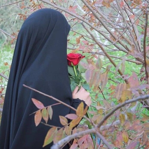 nwryl9152's tweet photo. سلام من تازه واردم حمایت کنید
#حمایت_انقلابی
#حمایت
#فالو https://t.co/odedWHMkYj