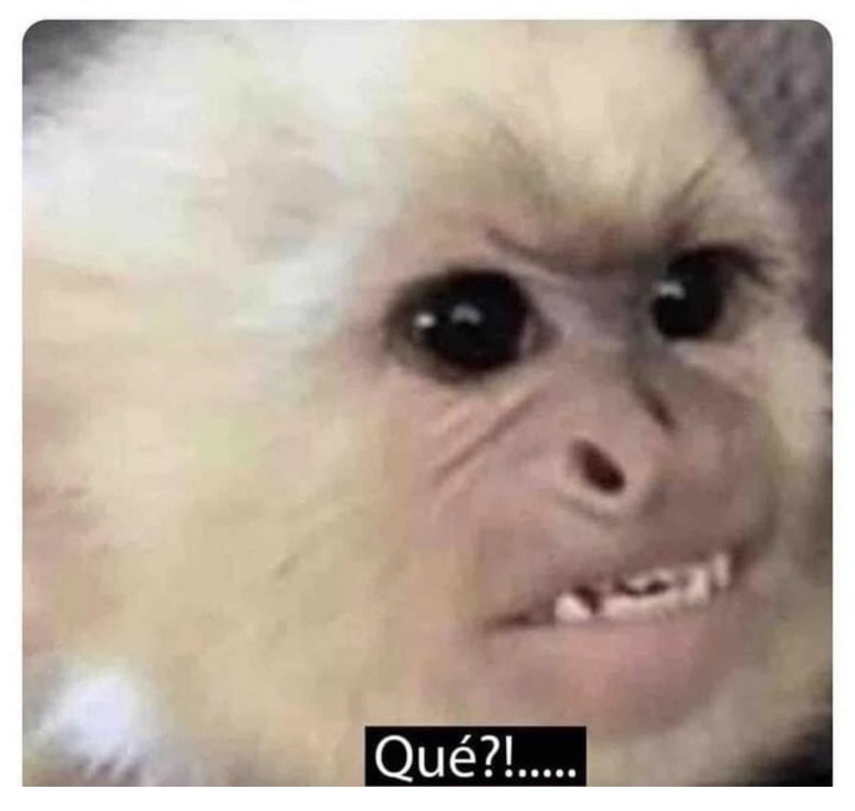 nutriologastef's tweet photo. -Nutri, le voy a decir qué comí el fin de semana pero no se vaya a enojar…

Yo ya bien enojada: https://t.co/x2pKj3Fxiv