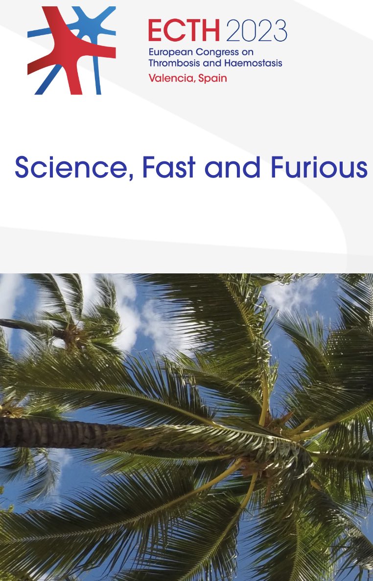 Tilman Hackeng tweet media