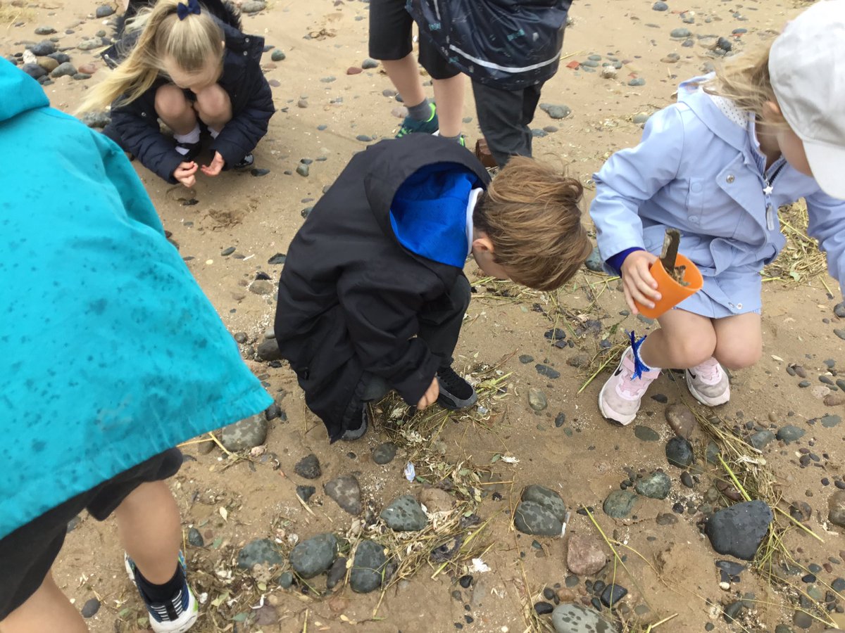 MythamPrimarySchool tweet media