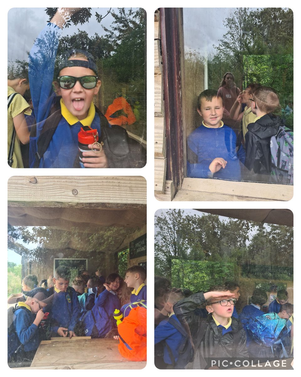 Some funny creatures in this enclosure 🫣😝🐾 

<a href="/Blackwood_PS/">Blackwood Primary</a> @wild_place