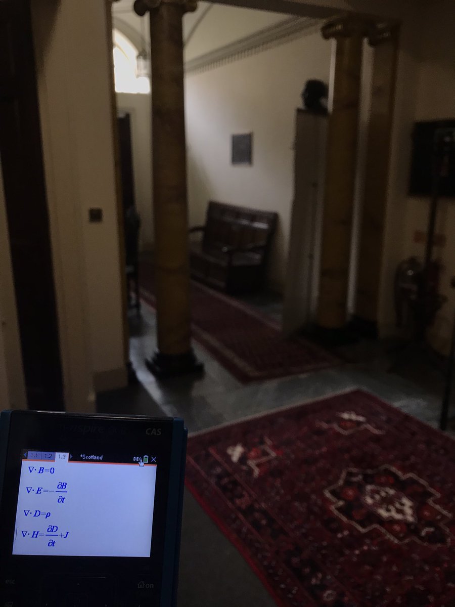 Mr. Bird tweet media