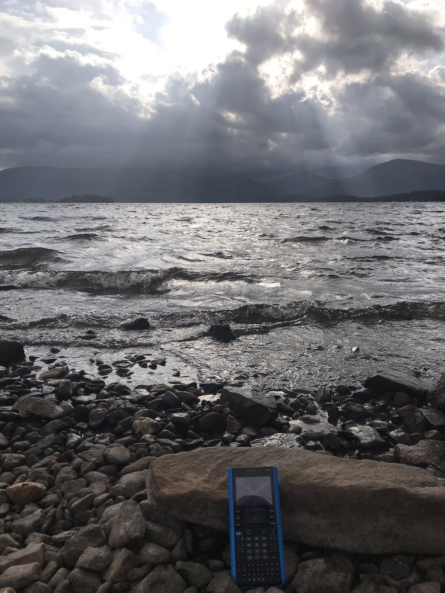 Mr. Bird tweet media