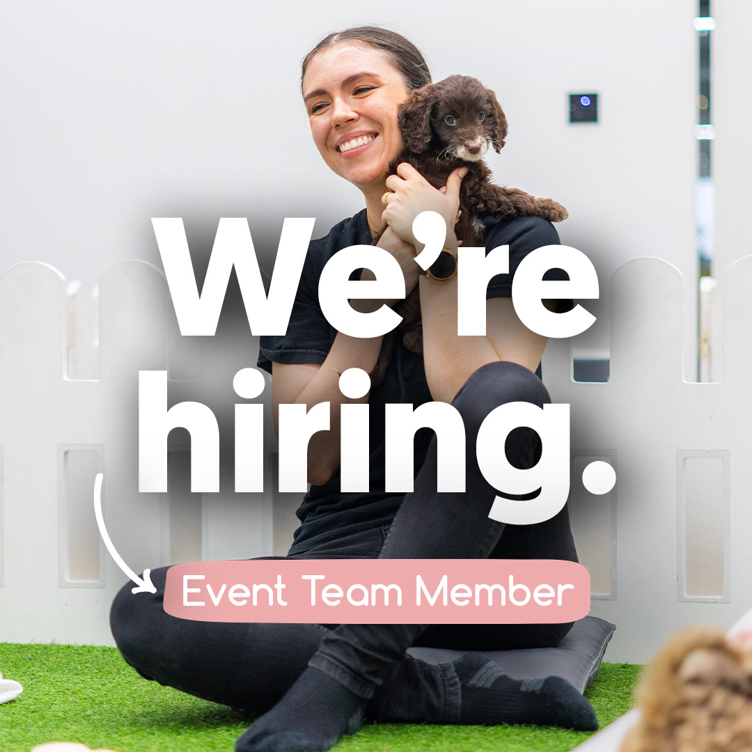 WE'RE HIRING 🎉 Do you love dogs and are up for a new challenge? We’re looking for someone pawsome to join the Events Team - Flexible! Apply today 👉 bit.ly/3NMIWLK