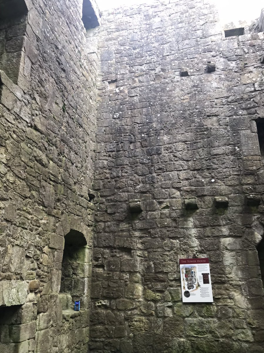 Mr. Bird tweet media