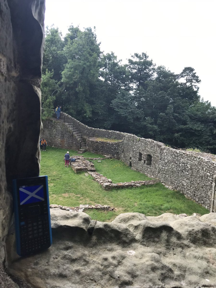 Mr. Bird tweet media