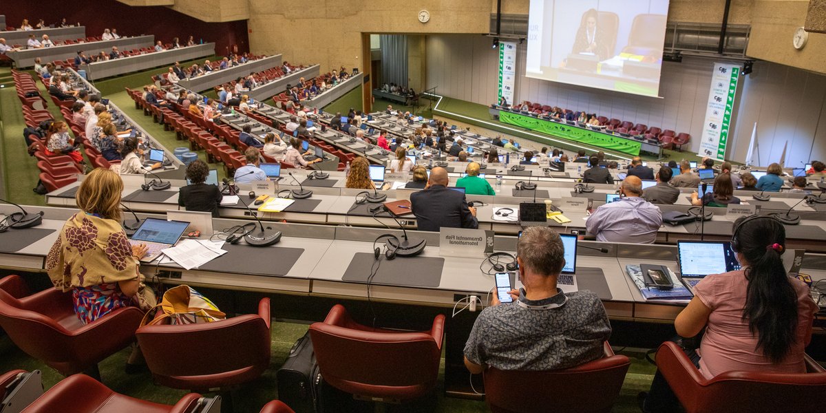 CITES's tweet photo. #PressRelease | CITES Animals Committee dives into review of significant trade in sharks, rays and other animal species at 32nd Meeting 🦈🪸🐦
➡️ https://t.co/U3dwTYN5N2
#AC32 #animals #scientificexperts https://t.co/VK9e0s8L75