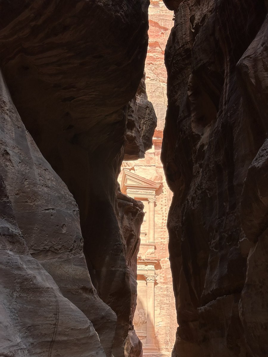 𝐇𝐚𝐦𝐚𝐝 🌕 tweet media