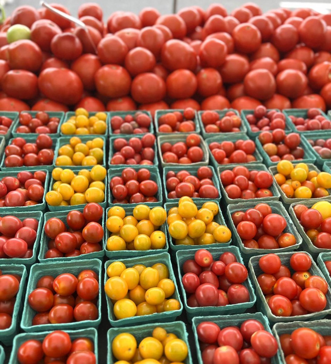bataviacafe's tweet photo. Yesterday we got lucky! We managed to go to the Summit Farmers Market before the rain and got lots of beautiful Jersey's red &amp; yellow cherry tomatoes. These cherry tomatoes are so sweet and flavorful, we can't wait to use them for our salad specials! 
Che
https://t.co/UMSmK5ZJyg https://t.co/SYUrk4Oy4N