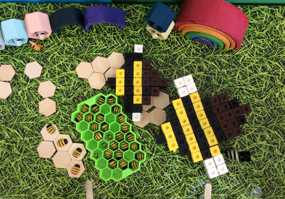 Can you see the queen bee and the worker bee? “The queen bee and the worker bee have stingers. The worker bee makes the honey. The queen bee makes the eggs.”