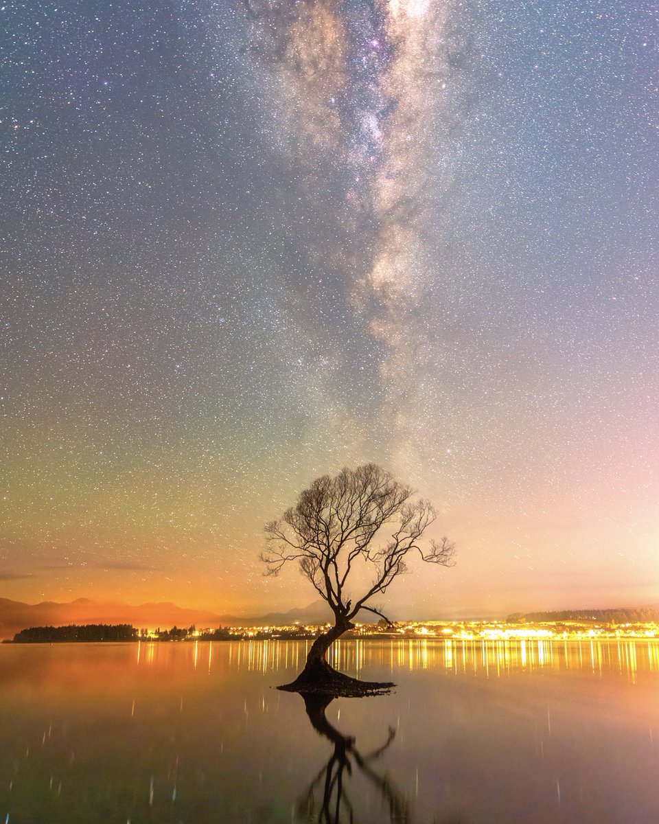 the_prabster's tweet photo. Here is a shot of milky way rising over with the famous Wanaka tree in New Zealand.
#wanaka #NewZealand #thewanakatree #travel #drone #milkyway https://t.co/f36cmJNtdn