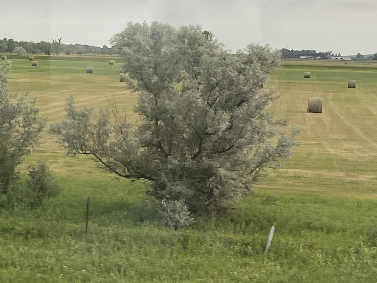 Dr Tracey Lynn Perez Koehlmoos tweet media