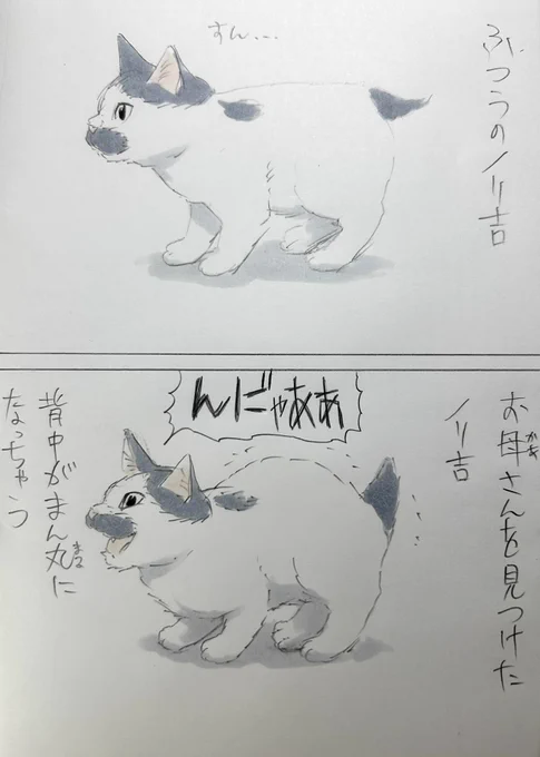 まいにちノリ吉 