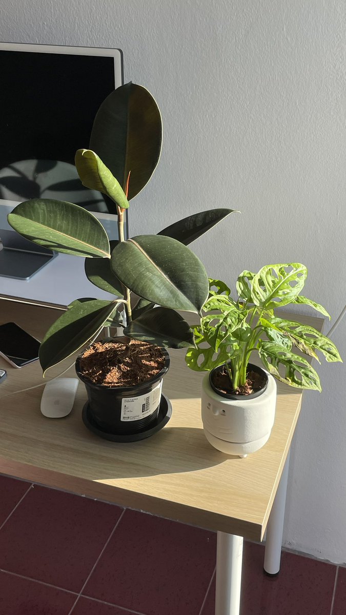 whyfallinluv_'s tweet image. Sunlight before ☔