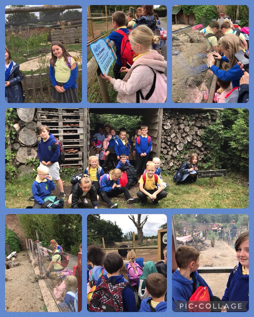 YearThreeBPS's tweet photo. We’ve had the best day!! So many new experiences and lots of laughs 😀 https://t.co/B16JZosdbC