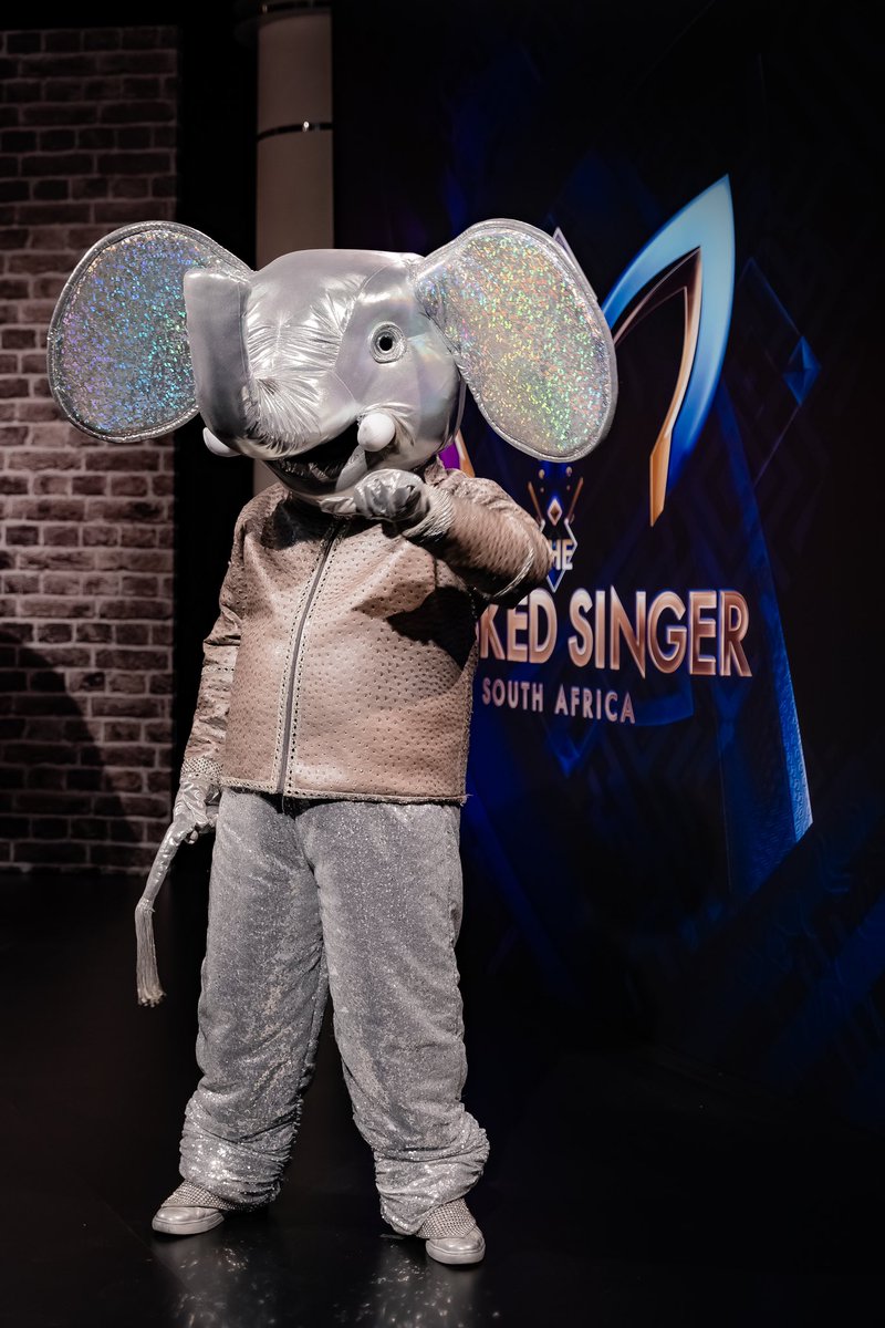 The Masked Singer South Africa tweet media