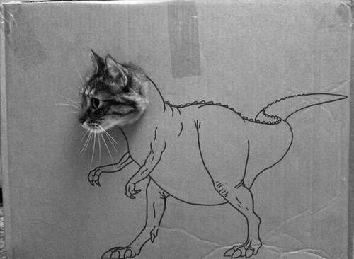 Drôle de chats tweet media