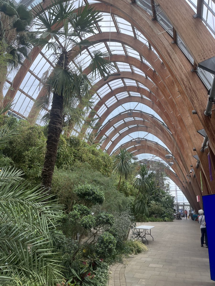 The exhibition LLocal2You is now on at Winter Garden in Sheffield! Another chance to visit it until Sunday 16th July. What an amazing venue! 🖼️🌴@LLocal2You @ExeterModLangs @UoE_PER @UniOfExeterHASS @KatyHUMS @ALL4language