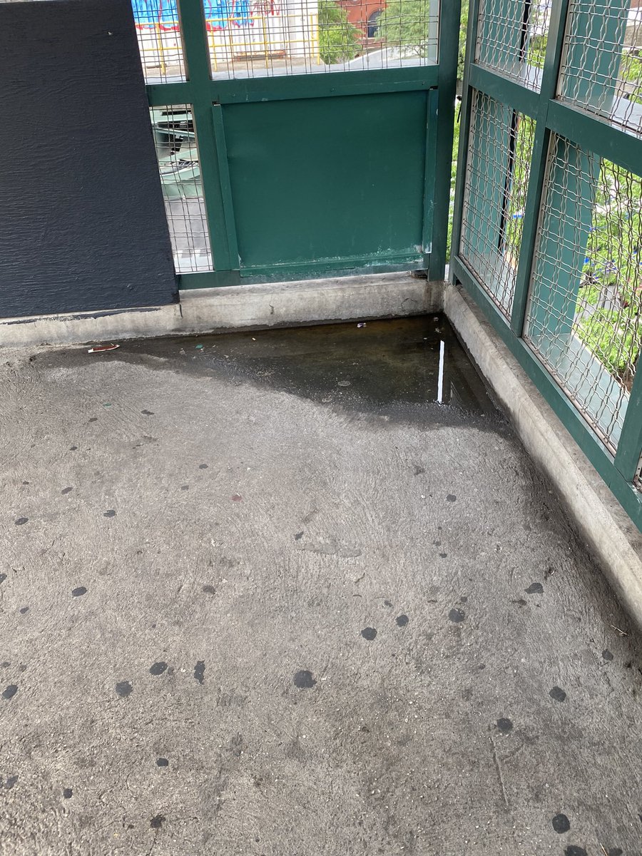 ErickAscencio10's tweet image. #mosquitos creating pond at Mosholu Pkwy train station @MTA @nycHealthy @NYCTSubway @NYCMayorsOffice @NYCHealthCommr #summerissues