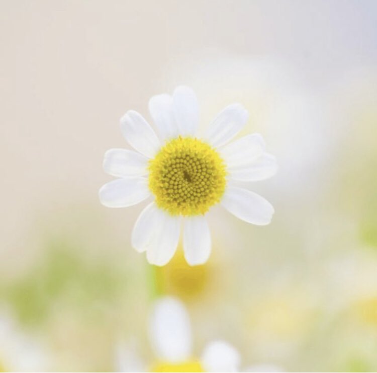 JOY can be found all around you every day of your life; no matter where you are, who you are, or what your circumstances may be. What is something that can bring you JOY in this very moment? Look around. 

#JOY #inspiration⁠ #womanexecutives #executivehealth