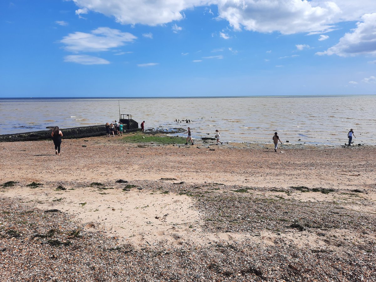 Maltese Road Primary tweet media