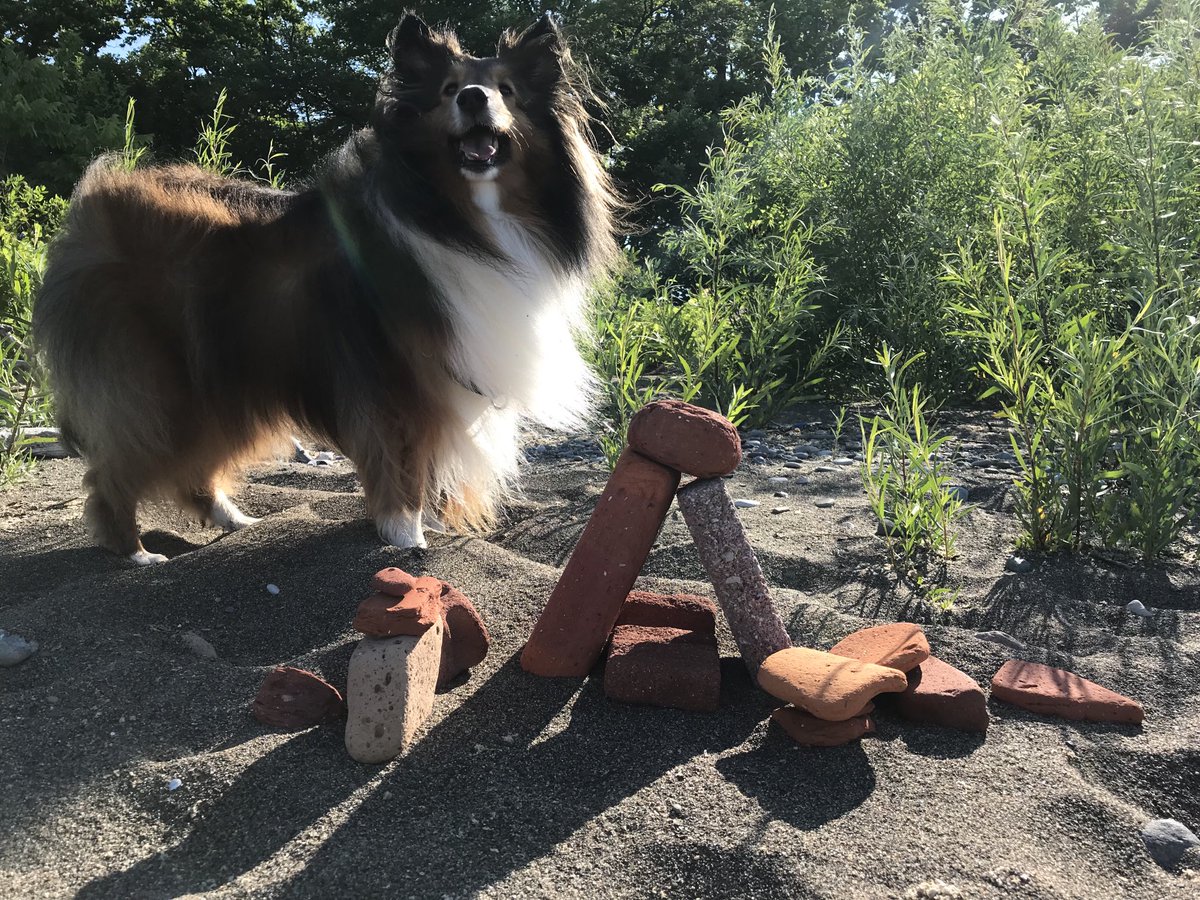 Wandering Walker tweet media