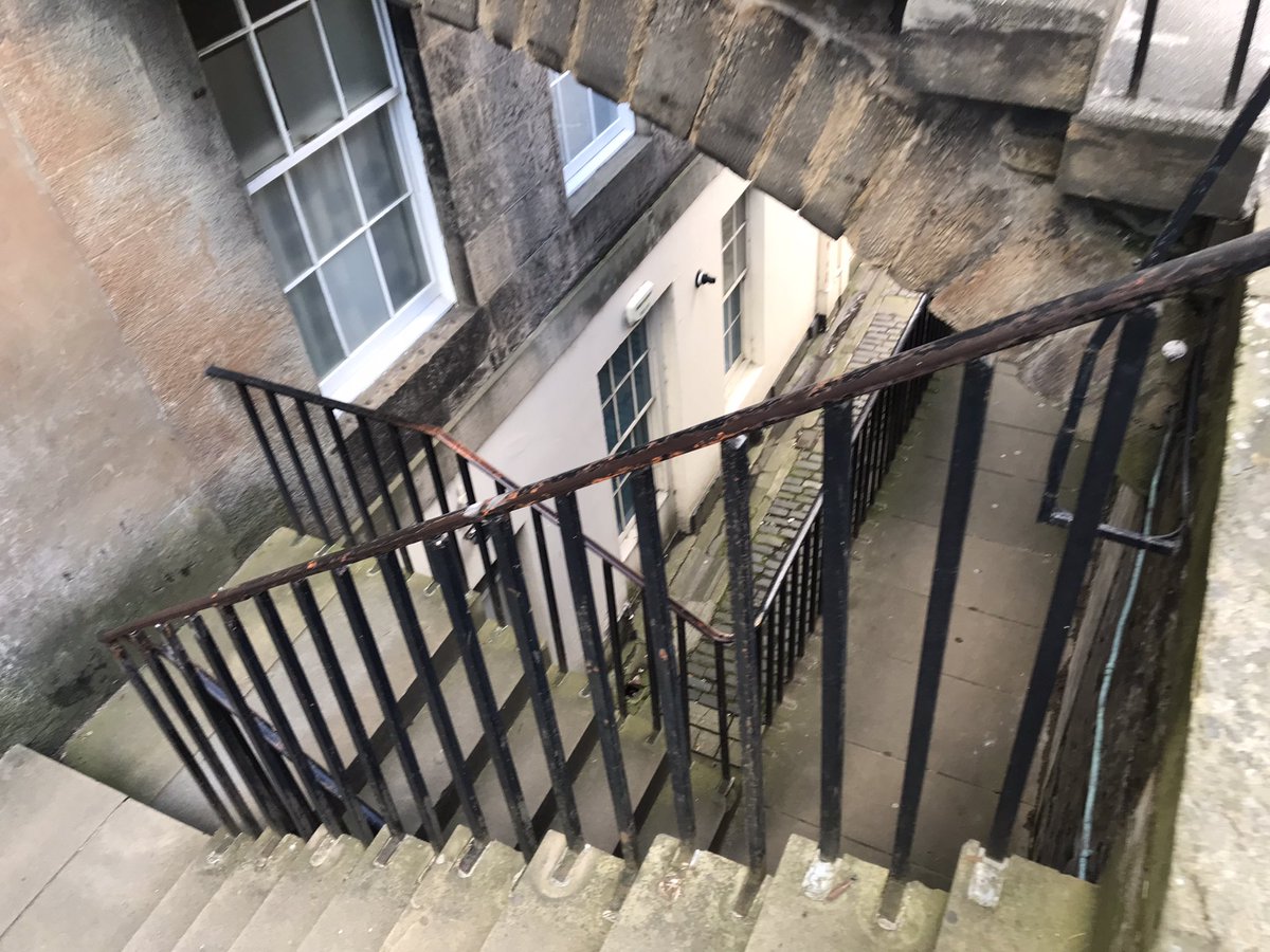 Mr. Bird tweet media