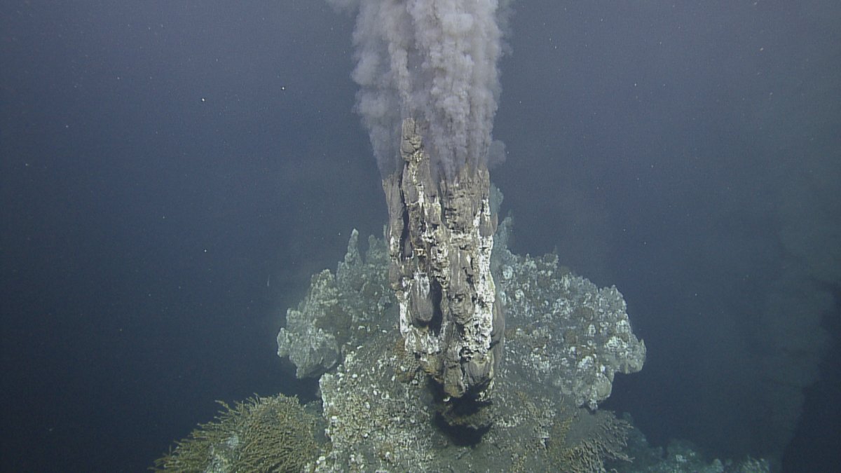 EVNautilus's tweet photo. #EndeavourVentField is one of the most hostile environments on Earth. Located in this seemingly uninhabitable seascape are 12+ species found nowhere else in the world. In 2003, it was classified as a #MarineProtectedArea and the first protected hydrothermal vent #ecosystem. https://t.co/fpe5cKtoEa