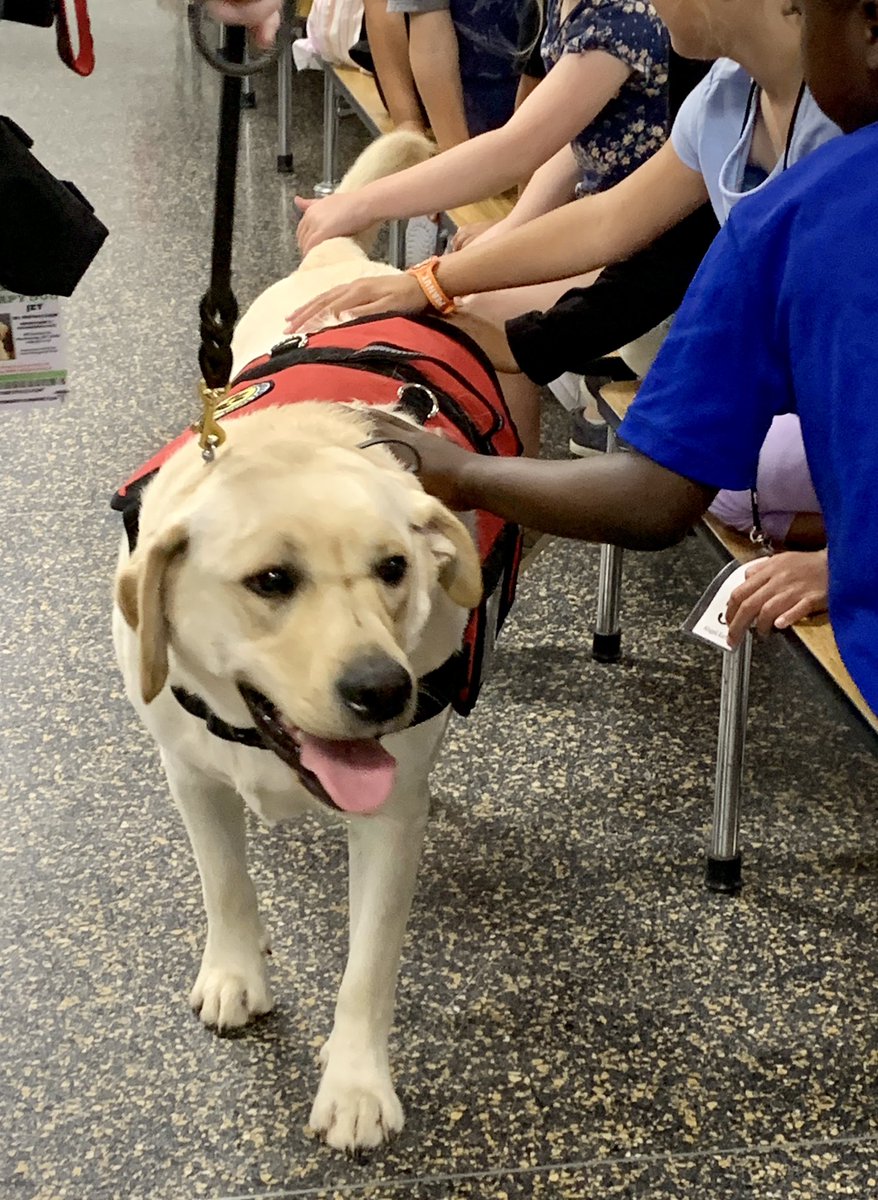 Ann Ashley Mathena tweet media