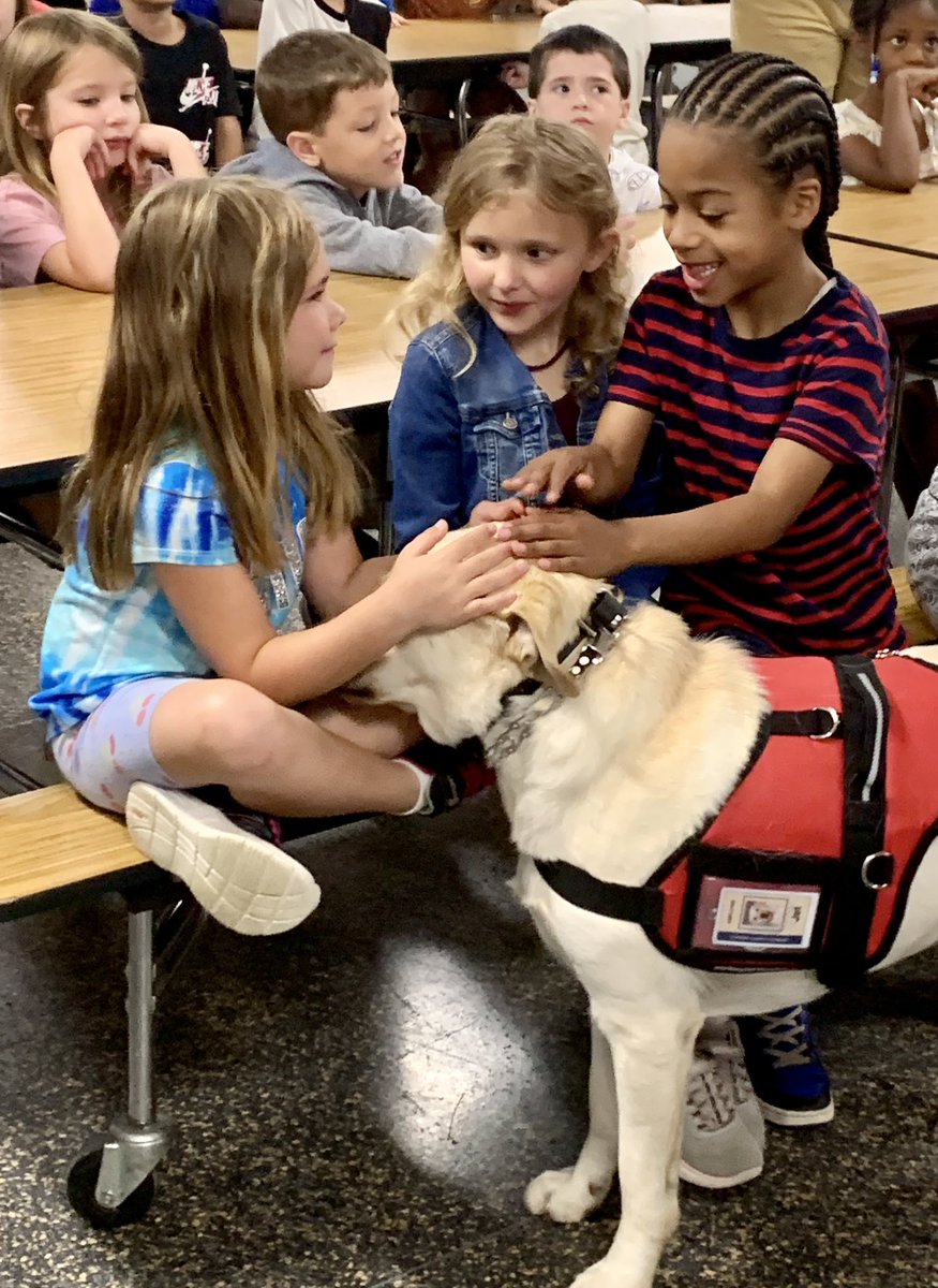We’re so thankful that Jet, the service dog from Spring Mills High School, visited us at Opequon Summer SOLE this morning! He even has his own ID badge… Best employee ever.  <a href="/BerkCoSchoolsWV/">Berkeley Co. Schools</a> <a href="/KristaEmatrudo/">Krista Ematrudo</a> <a href="/annelaskey/">Anne Laskey</a>