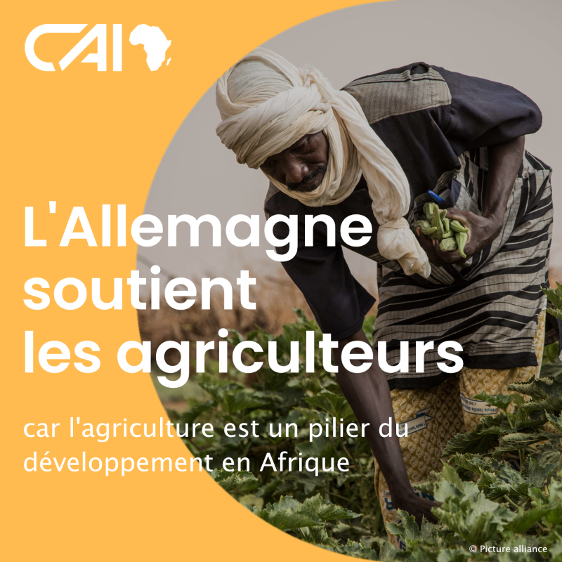 L’#Allemagne🇩🇪soutient les agriculteurs👩🏿‍🌾🌾en #Afrique pour une #agriculture performante et résiliente au #changementclimatique 🌍

➡️Suivez-nous pour en savoir plus❗️