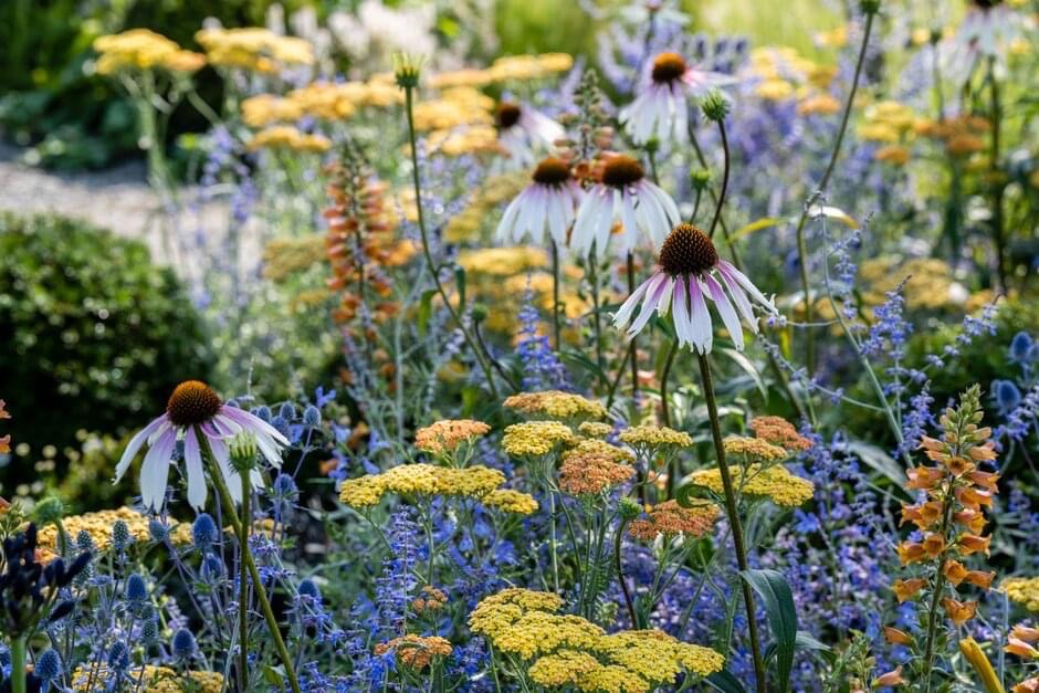 MidCheshireCRP's tweet photo. It is the first day of the #RHSShow @tattonpark 💐We are at the Visit Knutsford stand Visit us, find out more about #Knutsford & everything along the #midcheshirerailwayline Plus enter the prize draw!
@northernassist @OfficialTfGM https://t.co/z03ayIJy0l