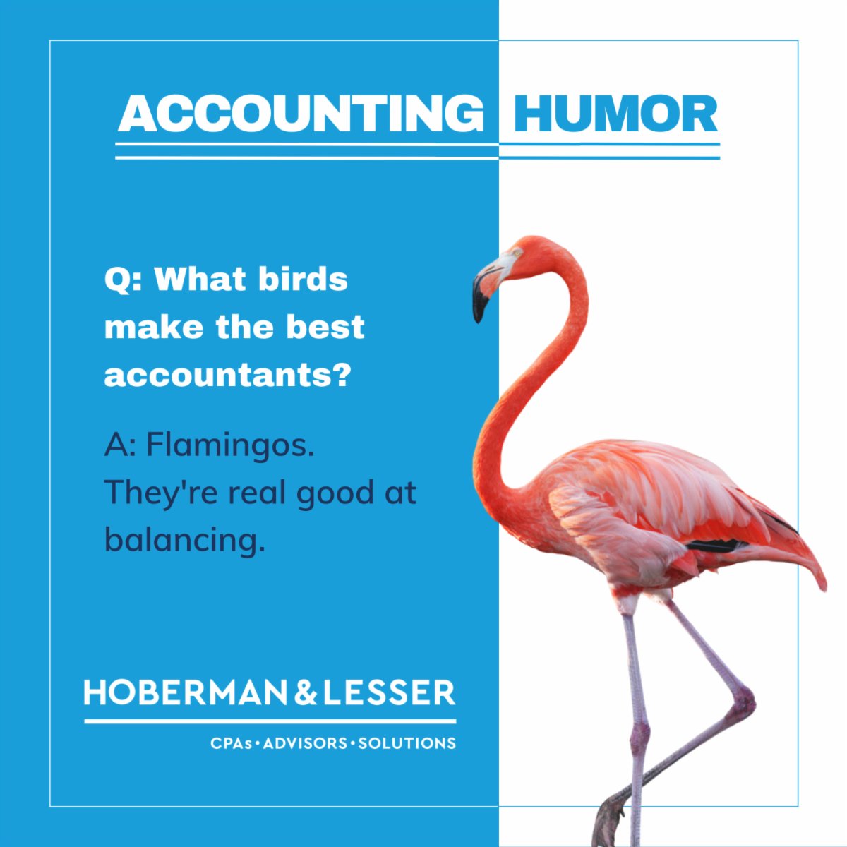 Hoberman & Lesser CPAs, LLP tweet media