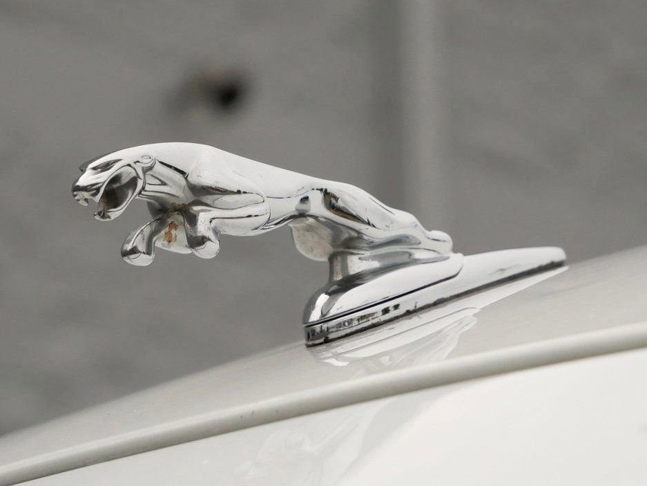 Luther Mazda of Lee's Summit tweet media