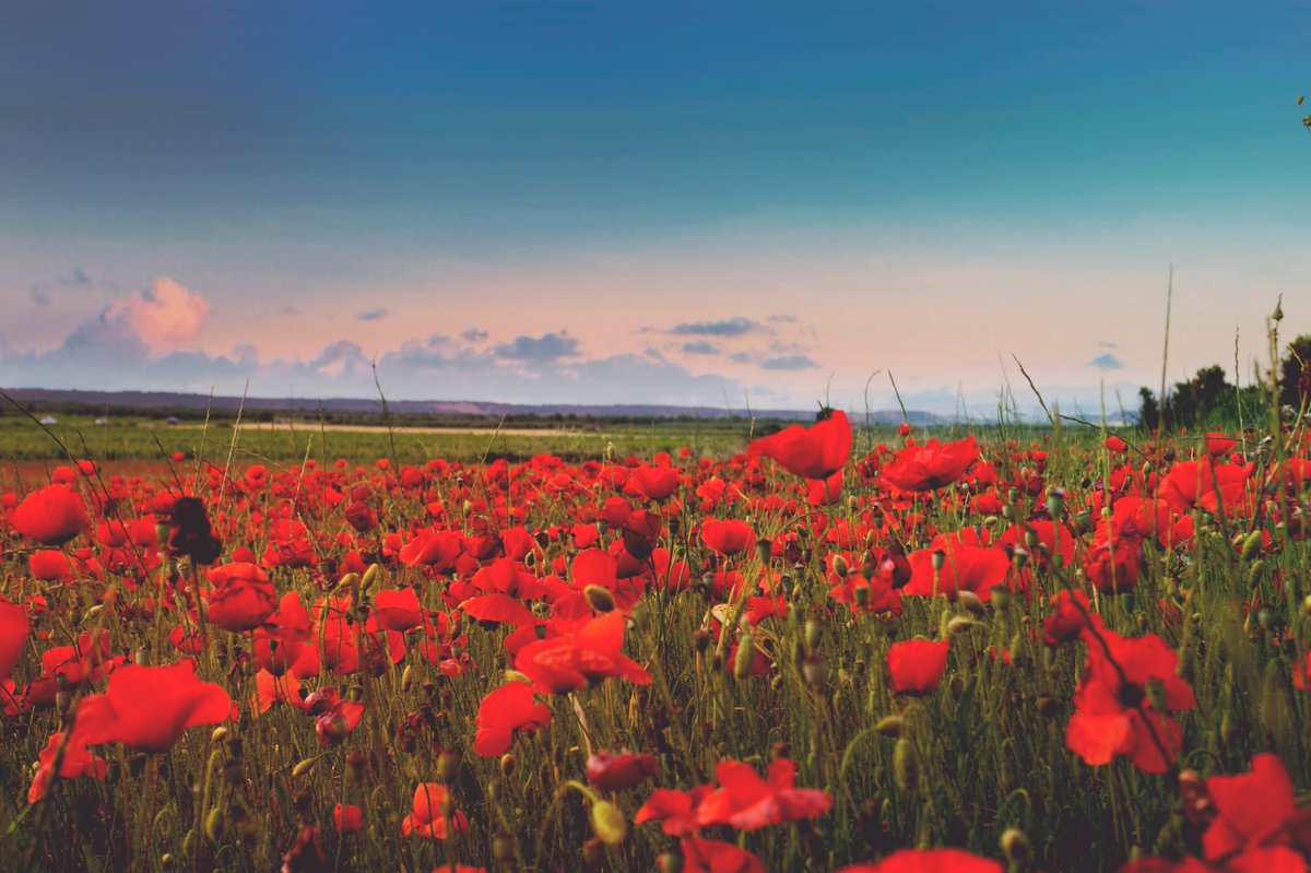 NickLovesSpain's tweet photo. What is your favorite region in Spain? https://t.co/45wLIadm1G