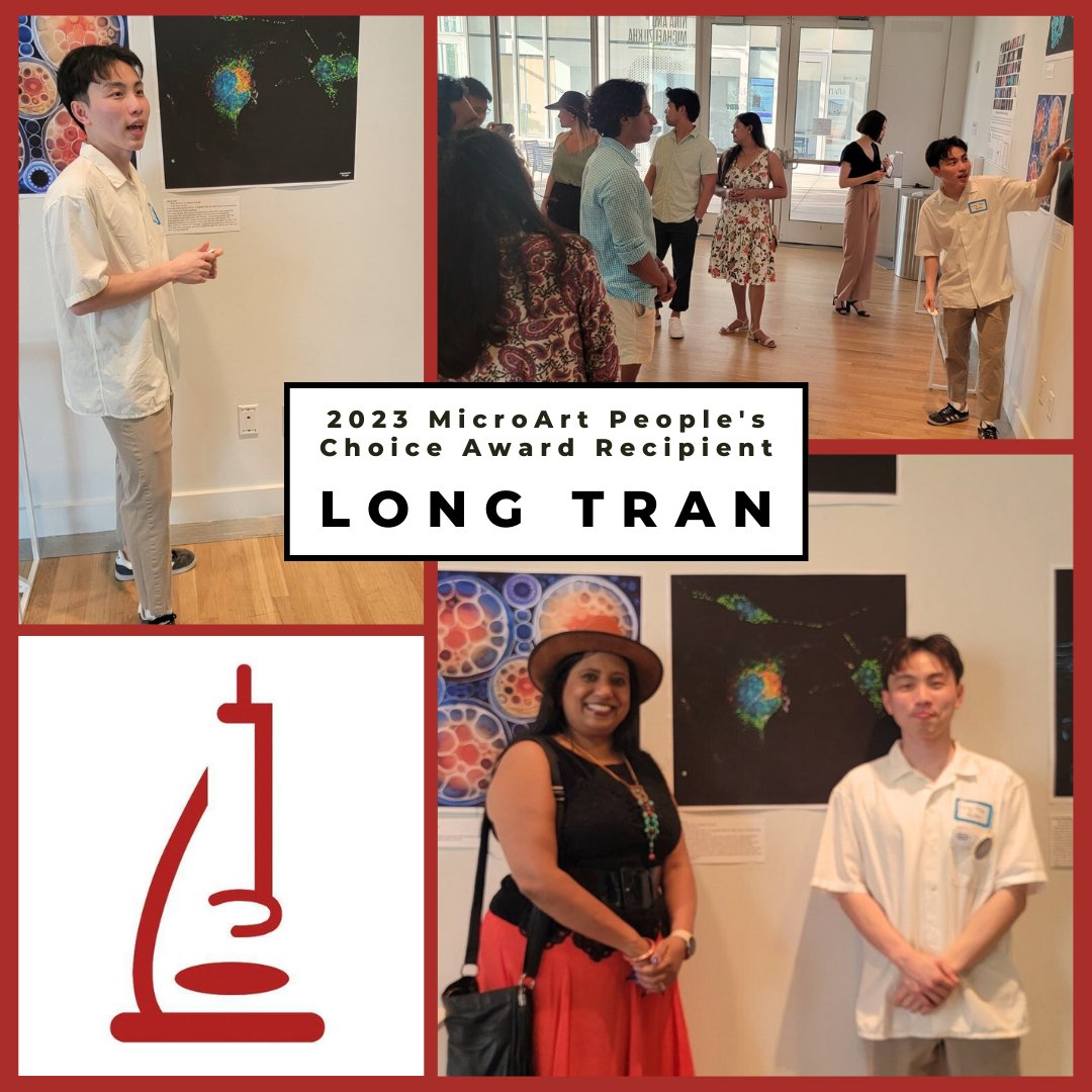 Congratulations to Long Tran, the MicroArt People's Choice Award recipient, at the 2023 Microbe meeting! 📸 

Long's captivating image of tunneling nanotubes in Zika virus-infected trophoblast cells captured the imagination of voters. #BCMDoM #ScientificImagery <a href="/Long_B_Tran/">Long Tran</a>